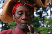 In the Bwindi Impenetrable Forest